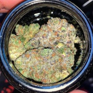 Girl Scout Cookies train