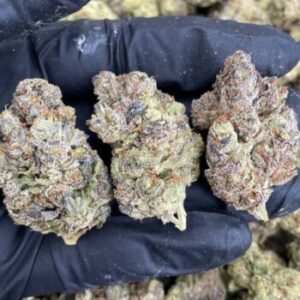 Frozen Grapes Strain