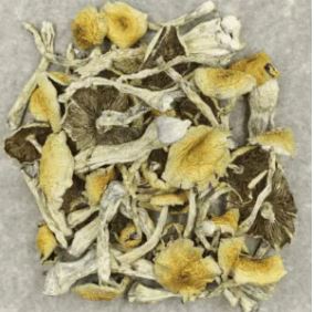 Apex Magic Mushrooms